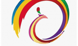 云南卫视频道,探寻彩云之南的文化瑰宝与民族风情