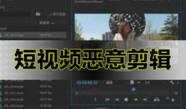 视频二,揭秘XX领域的创新突破与发展趋势