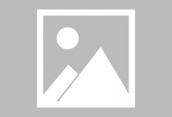 班马交配视频,自然繁衍的珍贵瞬间